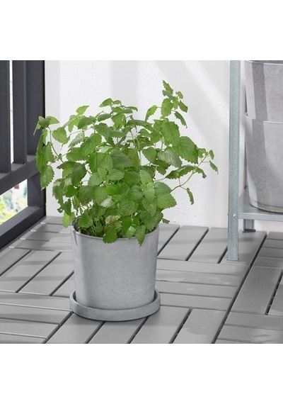 Ikea Boysenbär Saksı Altlığı, Açık Gri, 19 Cm