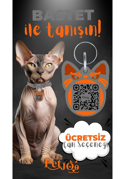 Petjoo 1.Bastet Turuncu-Gri Qr'lı Kedi Künyesi