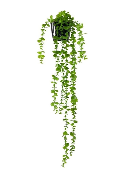 Tr Yapay Çiçek Saksıda Sarkan Okaliptus 80cm Diğer
