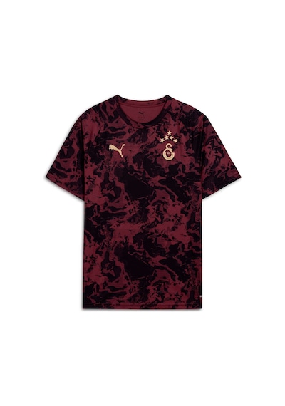 Puma Galatasaray Erkek Maç Öncesi Antrenman Tişört 782900 03 KIrmızı