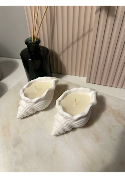Bernami Mum Pinterest 2 Li Beton İstiridye Mum Diğer