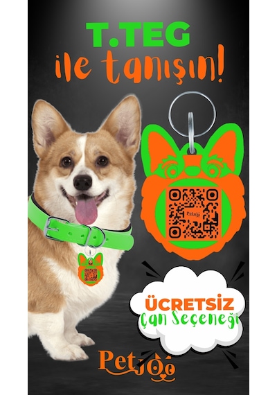 Petjoo 15.T.Teg Turuncu-Yeşil Qr'lı Köpek Künyesi