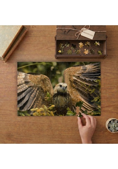 Kanatlarını Açan Atmaca Kuşu Tasarımı 240 Parça Ahşap Puzzle Ahşap Kutuda Mpy40451