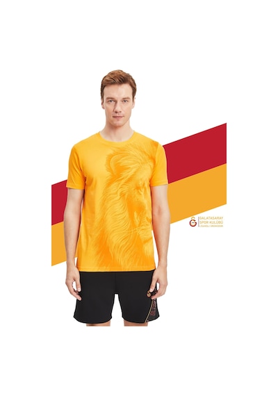 Gsstore Galatasaray Orijinal Lisanslı Aslan Baskılı Sarı T-shirt Gs Aslan Baskılı Hediyelik Ahşap Kutulu Sarı Gsstore Galatasaray Orijinal Lisanslı Aslan Baskılı Sarı T-shirt Gs Aslan Baskılı Hediyelik Ahşap Kutulu Sarı