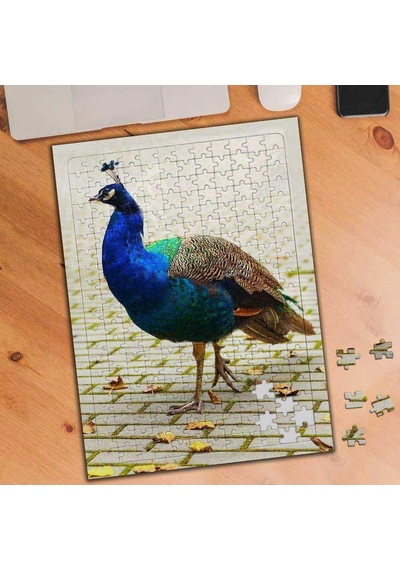 Sevimli Tavus Kuşu Hayvanı 240 Parça Puzzle Yapboz-74797