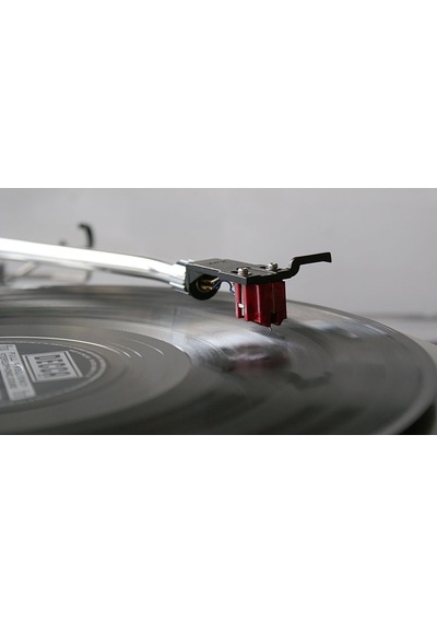 Denon Dl-110 Em Pikap İğnesi