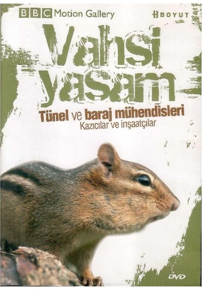 Bbc Motion Gallery - Vahşi Yaşam Tünel Ve Baraj Mühendisleri Kazıcılar Ve İnşaatçılar - Dvd