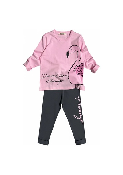 Koçak Kids Flamingo Desenli Pembe Renk Kız Çocuk Mevsimlik Taytlı Takım Pembe