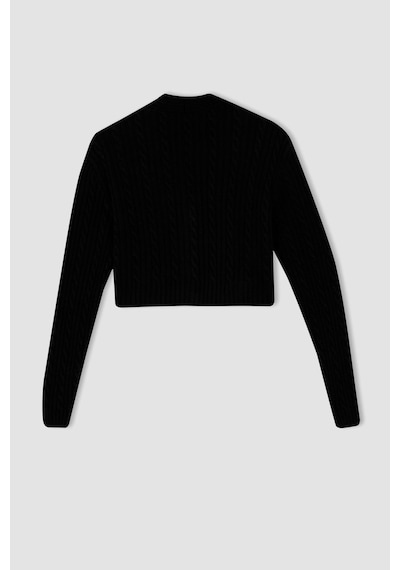 Defacto Coool Regular Fit V Yaka Hırka Siyah