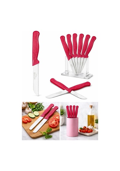 Solingen 6'li Tırtıklı Meyve Bıçağı Seti, Paslanmaz Çelik, Ergonomik Kaymaz Sap, Ultra Keskin, Meyve Ve Sebze İ Diğer