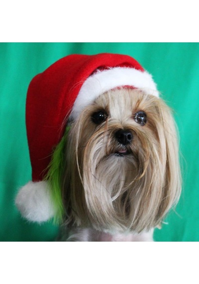 Max Orta Irk Köpeklere Uygun Noel Şapkası