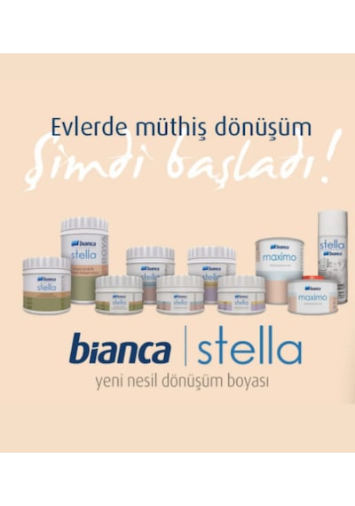 Stella Yeni Nesil Dönüşüm Bohyası + Yapaş Dönüşüm Boya Uygulama Seti Diğer