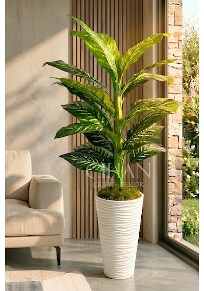 Yapay Difenbahya Ağacı - 57x30 Dekoratif Kumsal Saksılı 160 Cm Beyaz