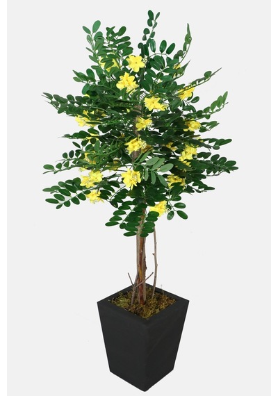 Yapay Çiçek Deposu Yapay Sibirya Bezelye Ağacı Caragana Arborescens 120 Cm