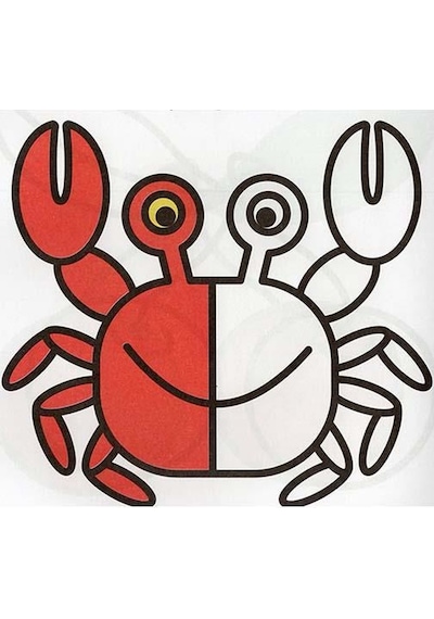 Bak ve Boya - Sarı Kitap- Parıltı Yayınları