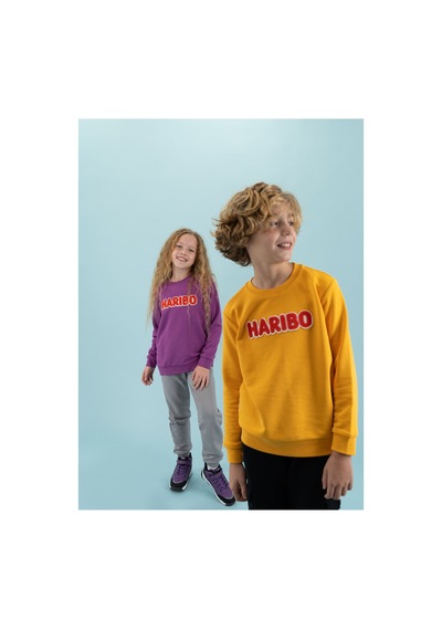 Haribo Lila Kız Çocuk Bisiklet Yaka İşlemeli Sweatshirt Hrbtxt308 Lila