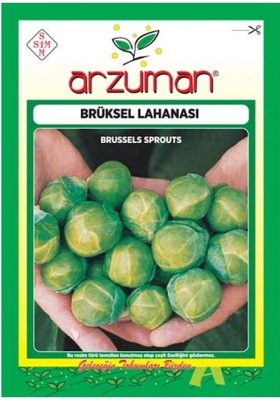 Arzuman Sebze Brüksel Lahana Tohumu