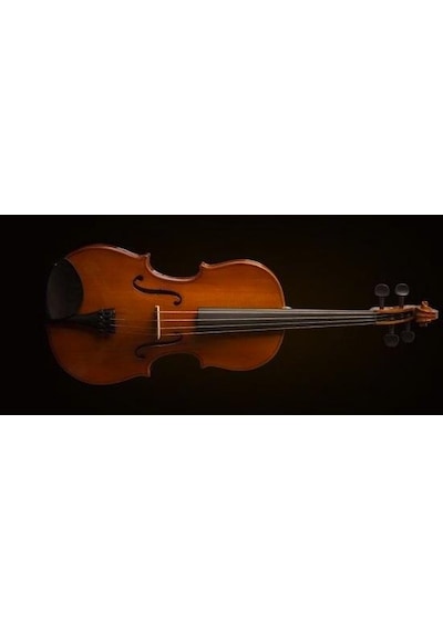 Valencia Va16038 Viyola 15 İnç Öğrenci Seti 38 Cm - Orta Boy - Yay Ve Kutu Dahil