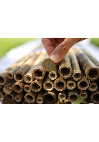 200 Cm X 200 Cm Bambu Çubuk Çit / Paravan / Bahçe Çiti