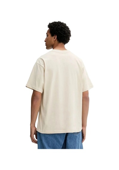 Vans Left Chest Iı Loose Ss Erkek Bej T-shirt - Vn000p1p