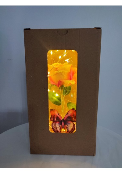 Sarı Tabanlı Pempe Beyaz Gül Işıklı Fanus