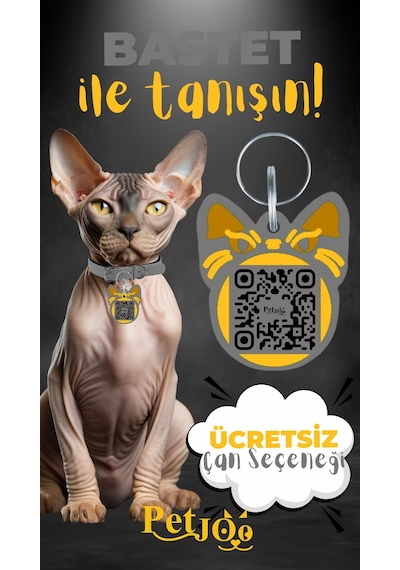 Petjoo 1.Bastet Sarı-Gri Qr'lı Kedi Künyesi