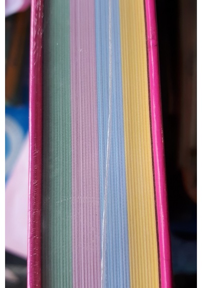 Gıpta Defter Çizgili 400 Yaprak 20x28 CM Sert Kapak Sayfa Kenarı 4 Renk N11.1095