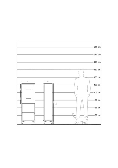 Arges Dolap Tek Raflı 2 Çekmeceli 44x30x134 Antrasit-çam Antrasit