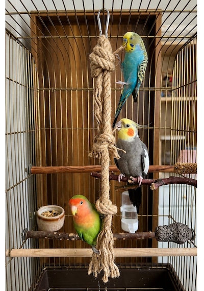 Mivra Pets Papağan Stres Halatı 40 Cm Jüt