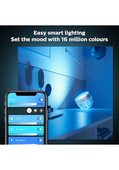 Philips Hue Iris - Silver (Special Edition)