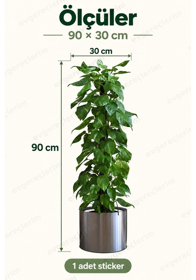 Saksılı Bitki Desenli Yapışkanlı Duvar Dekoru Stickerı 90x30 Cm Yeşil