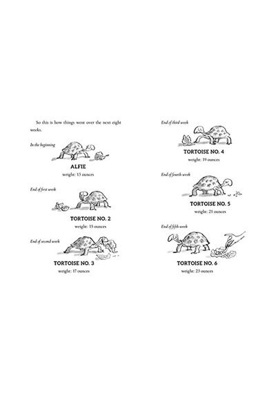 Esio Trot - 57858324555729099275576