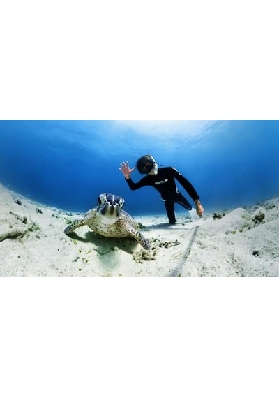 Insta360 X3 Invisible Dive Case Diğer