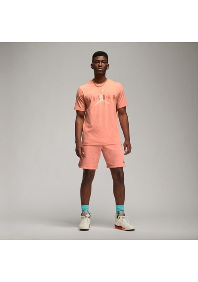 Nike Jordan Air Wordmark Erkek T-Shirt