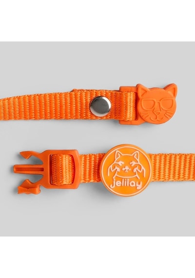 Charmlı Kedi Boyun Tasması Safety Click Turuncu
