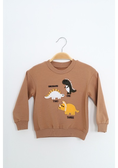 Toontoy Kids Toontoy Erkek Çocuk Relax Fit Bisiklet Yaka Hafif Düşük Omuz Nakışlı Sweatshirt Kahverengi