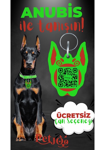 Petjoo 30.Anubis Kırmızı-Yeşil Qr'lı Köpek Künyesi