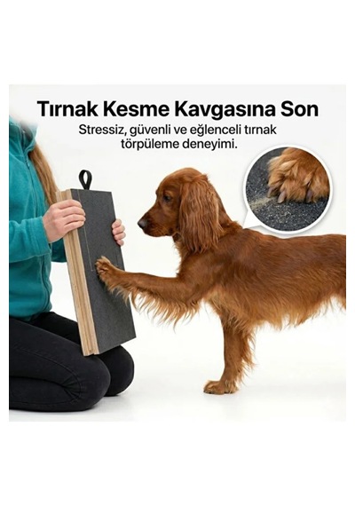 Reyo Köpekür Köpekler İçin Tırnak Törpüleyen Tırmalama Ve Eğitim Tahtası