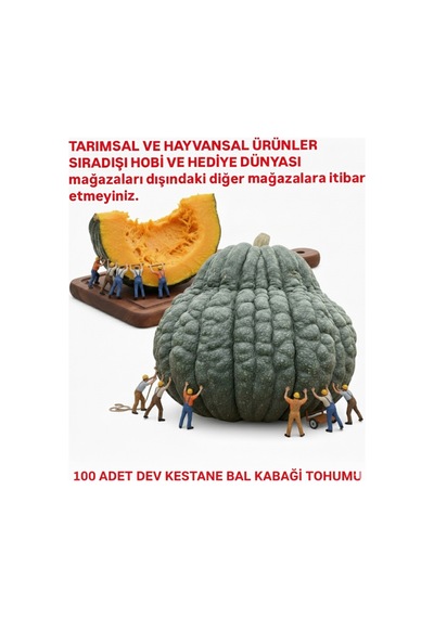 Dev Kestane Bal Kabağı Tohumu 100 Adet