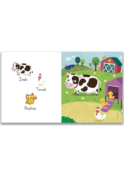 Highlights Baby Find It - Bu Hayvanlar Nerede Yaşar