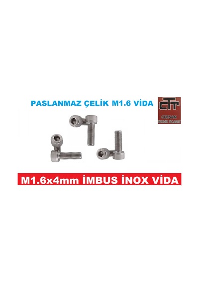 M1.6 Imbus Minik Mikro Vida Inox Adet ve Boy Seçenekli 48 Adet-6 MM