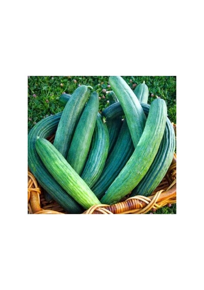 Kara Acur Tohumu - 5 Gram