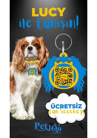 Petjoo 11.Lucy Mavi-Sarı Qr'lı Köpek Künyesi