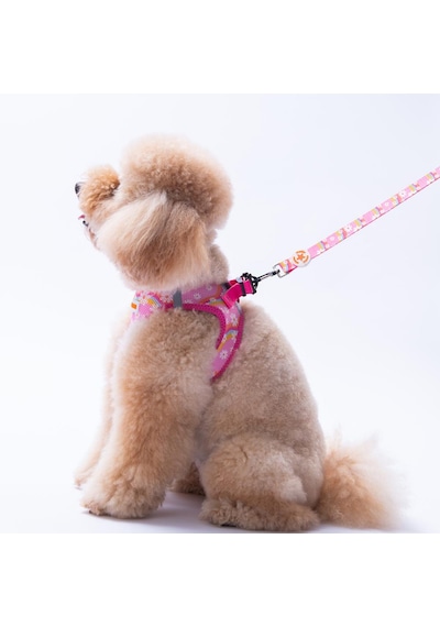 Daisy Leash Papatya Desenli Kedi Köpek Sevk & Gezdirme Kayışı Köpek Uzatma Tasması Pembe