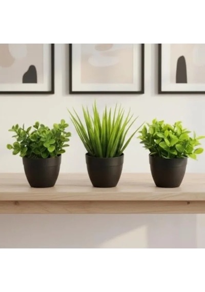 3'lü Mini Yapay Sukulent Seti, 8 Cm Saksı İle 20beyazcipso