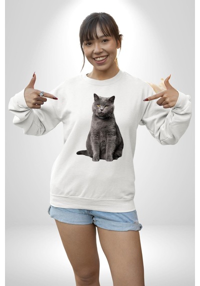 British Shorthair Kedi Unisex Beyaz Sweatshirt Beyaz