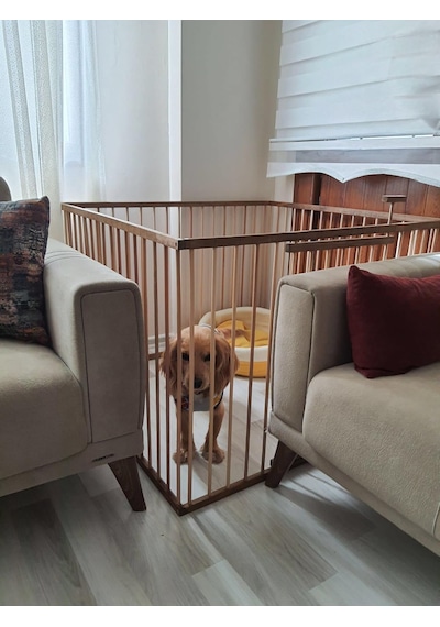 1 M2-70 Cm Yükseklik Ahşap Köpek Çiti Kapılı