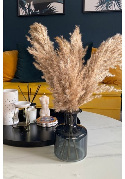 Dekoratif 7'li Natural Pampas 100cm Boyunda Doğal