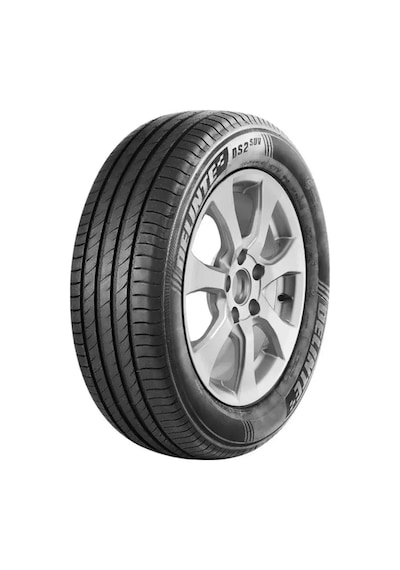 275/30r19 Delinte Ds2 96w Xl