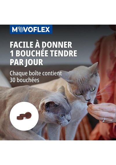 Movoflex Kedi 30cp